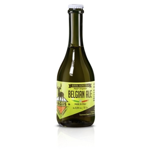 Pagus - Belgian Blond Ale 37.5 Cl - Buy on GardaVino